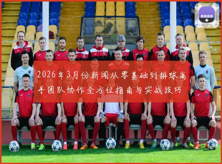 2026年3月份新闻从零基础到排球高手团队协作全方位指南与实战技巧分享